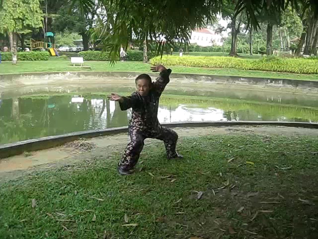 Shaolin 72 Chin-Na Techniques 2015